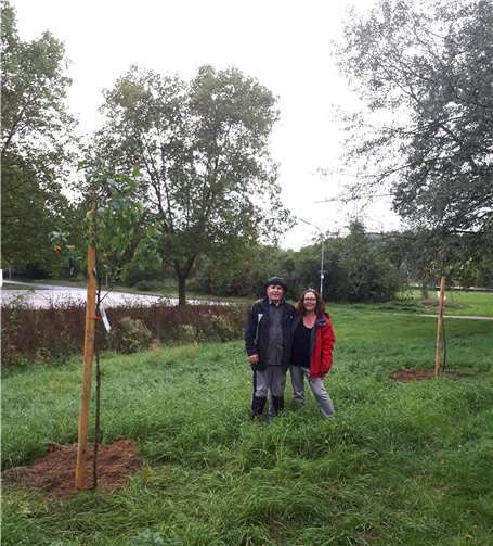 Zwei Obstbäume wurden am Tag der Deutschen Einheit am Ahrufer gepflanzt. Das Bürgerforum hofft, dass weitere auch auf anderen Freiflächen in der Stadt mit Unterstützung der Bürger hinzukommen. Foto: privat