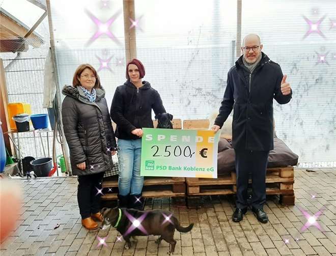 Zwei Vertreter der PSD Bank Koblenz überreichte dem Tierheim Ransbach-Baumbach einen großzügigen Scheck. Foto: privat