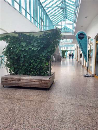 Zwei mobile Gärten „überwintern“ im Goethe-Atrium.