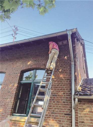Zwei neue Nester an der Außenwand der Alten Schule angebracht.