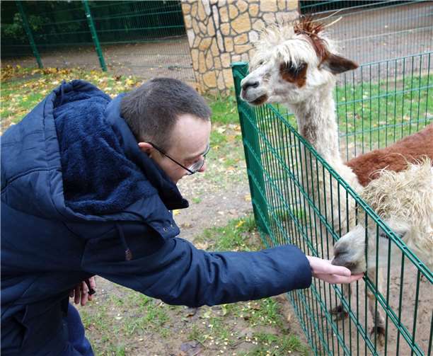 Zwei weitere Gruppen pirschten durch den Wald des Wild- und Erlebnispark Daun.