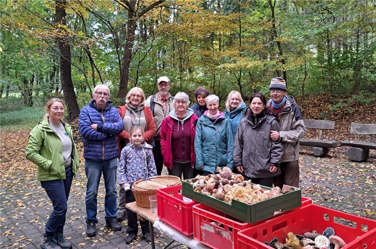 Zwischen Wald und Pfanne: Die Faszination der Pilze in Adenau. Foto: Eifelverein Adenau