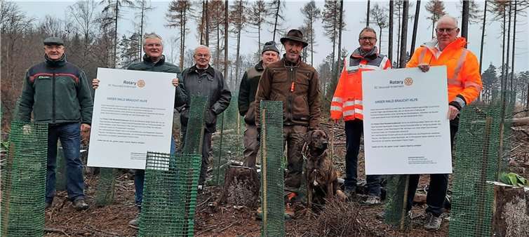 Zwischenbilanz für das Rotary-Aufforstungs-Projekt in der Waldgemarkung Heimbach parallel zum Golfplatz (v.l.n.r): Forstamtsleiter Uwe Hoffmann, Rotary-Past-Präsident Eckhard Lenz, Projektleiter Dr. Hartmut Froesch, Förster Ralf Winnen, Dominik Graf v. Spee, Rainer Kaul und last but not least Rotary Präsident Dr. Bernhard Eckel.