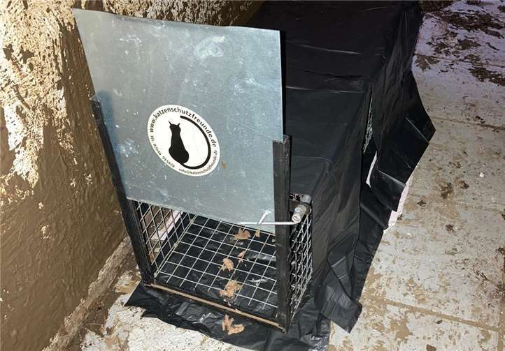 Zwölf Fangstellen mit Lebendfallen ausgestattet.