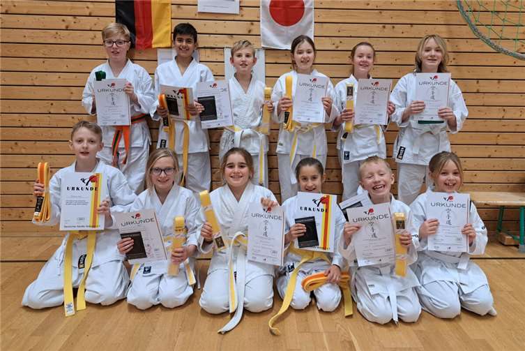 Zwölf Prüflinge erhalten die nächste Graduierung.  Foto: PSV Grün-Weiß Koblenz