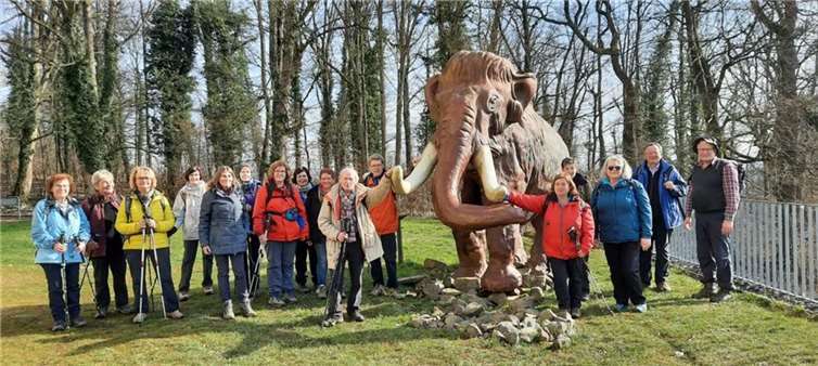 ach einer kleinen Pause in Gesellschaft eines Mammuts konnte die Wanderung gutgelaunt bei angenehm warmem Februarwetter fortgesetzt werden. Foto: privat