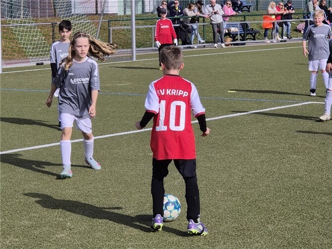 die Jugendmannschaften des SV Kripp 