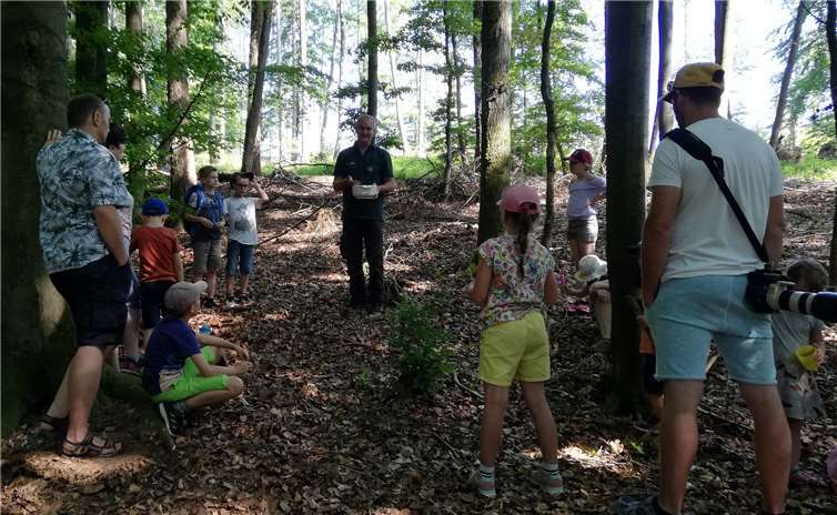 ei der Familienwanderung mit dem Förster können Interessierte Herrn Nauen, dem Revierförster von Höhr-Grenzhausen, über die Schulter schauen.Foto: privat