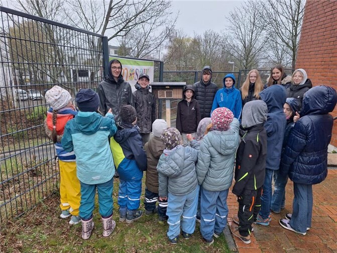 eim zweiten Treffen der Natur-Kids 2026 packten die Kinder gemeinsam mit dem NABU-Ferienfreizeiten-Team tatkräftig an. Trotz strömenden Regens wurde ein Insektenhotel am Mosaik aufgestellt. Foto: privat