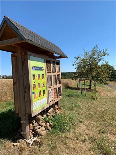 ie Ortsgemeinde Eichenbach hat einen ökologisch wertvollen Dreiklang mit Blühwiese, Streuobstbäumen und Insektenhotel im Projekt „Artenreiche Wiese - Lebensraum für Biene, Schmetterling & Co.“ geschaffen.Foto: Kreisverwaltung Ahrweiler