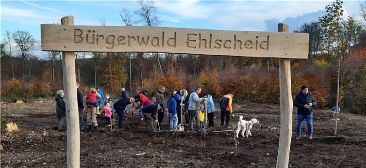n die 50 BaumpflanzerInnen, darunter auch sehr viele Kinder, waren mit Feuereifer mit am Werk.  Quelle: Gemeindeverwaltung Ehlscheid