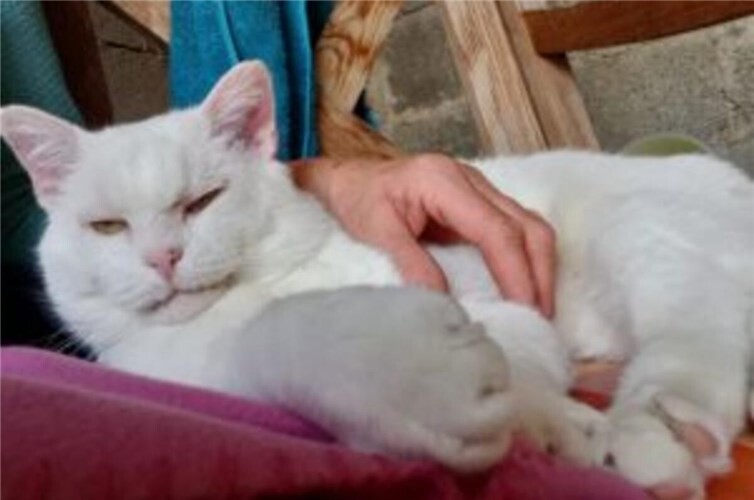 schmusen mit Pflegemama