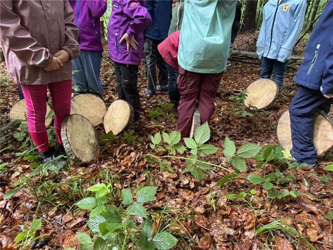 twas andere Kunst: Auf den Baumscheiben werden Nagelbilder gefertigt.  Foto: Victoria Mayer