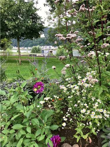 …und nach der Bepflanzung. Das Blumenbeet blüht wieder. Fotos: WfL Lahnstein