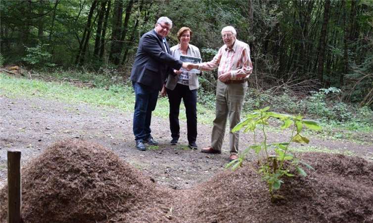v.l. Michael Mahlert, 1. Kreisbeigeordneter und Umweltdezernent, Ina Heidelbach, Umweltreferentin Landkreis Neuwied, Wilfried Hofmann, Geschäftsführer Ameisenschutzwarte Rheinland-Pfalz e.V.Kreisverwaltung