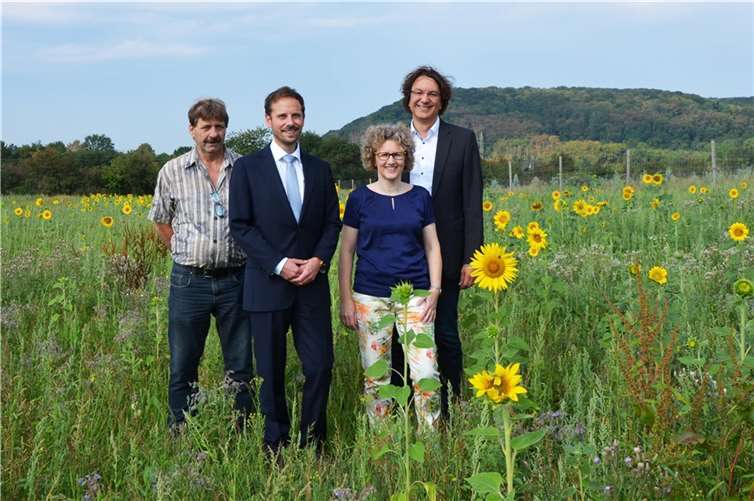 (v.l.) Wolfgang Weitzel (Leiter des Bauhofs der Stadt Remagen), Björn Ingendahl (Bürgermeister der Stadt Remagen), Barbara Hartmann (1. Vorsitzende des Kreisimkerverbands Ahrweiler) und Marc Bors (Stadtmarketing Remagen).Foto: Stadt Remagen