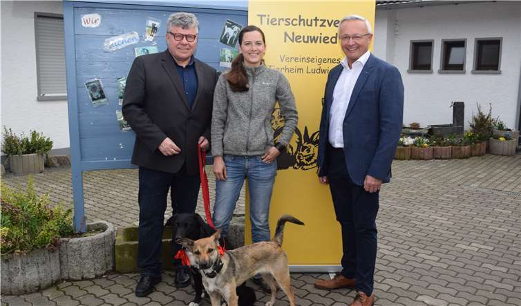 (v.l.n.r.): Erster Kreisbeigeordneter Michael Mahlert mit Caila und Laila, die ersteVorsitzende des Tierschutzvereins Sabrina Steger und Landrat Achim Hallerbach beider Übergabe der Spende auf dem Gelände des Tierheims. Foto: Kreisverwaltung
