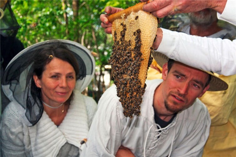 vom gemeinnützigen Verein Mellifera e. V. zeigen Wege auf, wie man Bienen wesensgemäß halten kann. Im Vordergrund steht dabei nicht die Ernte von möglichst viel Honig, sondern die natürlichen Bedürfnisse des Bienenvolks. 