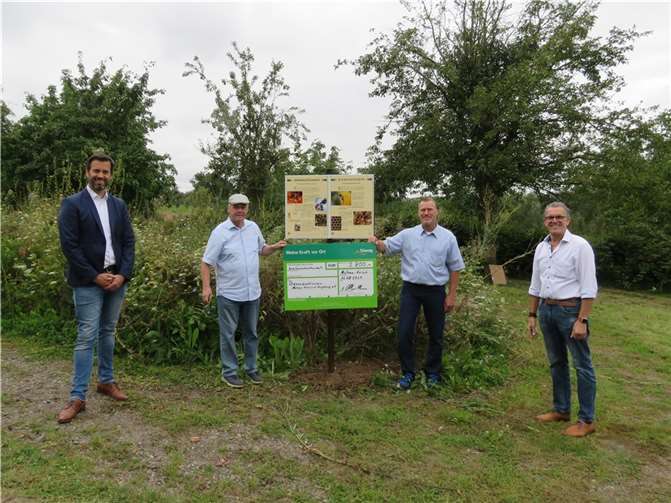 (von links): Christian Weber (Süwag-Projektpate und Kommunalmanager), Karl-Josef Parsch (Vorstandsvorsitzender Bienenzuchtverein), Thomas Schüttler (Süwag-Betriebssicherheit) und Gerd Harner (Bürgermeister von Mülheim-Kärlich) bei der Übergabe der Förderung. Foto: Süwag
