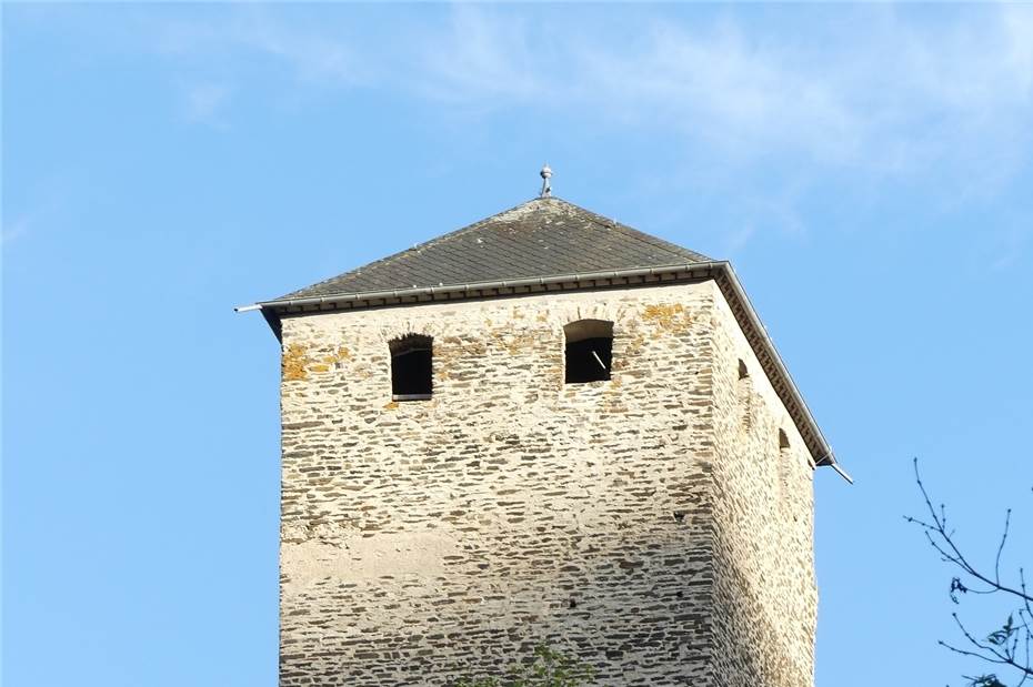 Burg Treis und Wildburg werden Eigentum von Treis-Karden