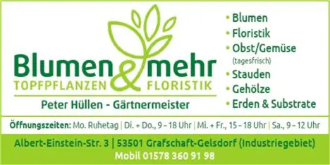 Imageanzeige Blumen & Mehr