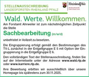 Stellenanzeige Sachbearbeitung