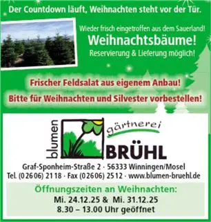 Weihnachtsbaum-Verkauf 