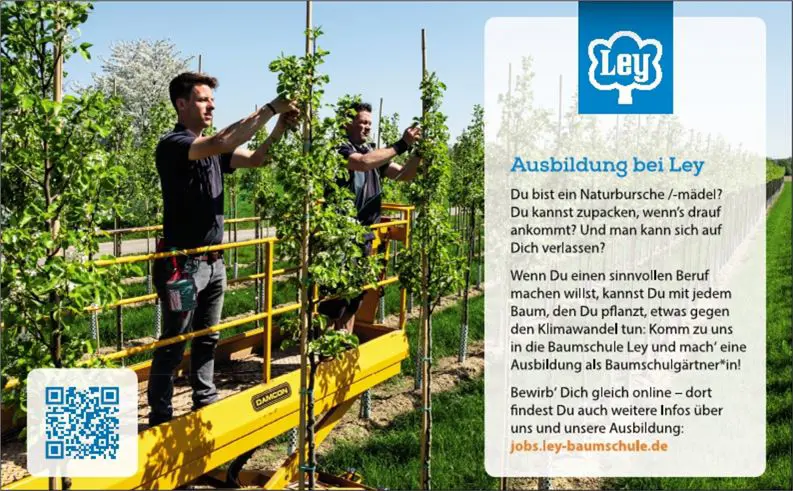 Magazin "Rheinbacher Ausbildungsmesse"