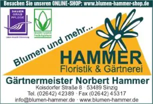 Sinziger Kirmes