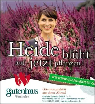 Anzeige Heide blüht