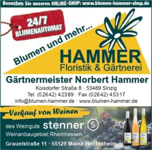  Sinziger Weinherbst