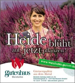Anzeige Heide blüht
