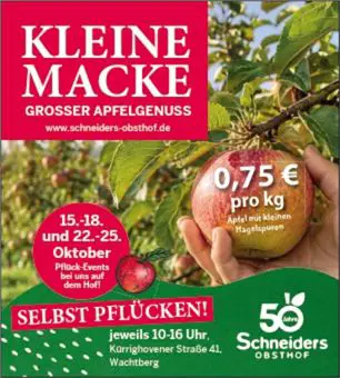 Hagelschaden Äpfel
