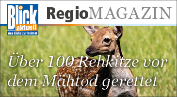 Web-Banner-365-200-RegioMagazin-Freitag-2