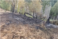 04.08.: Brand bei Leutesdorf: Kleine Fläche, große Gefahr