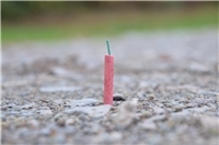 06.08.: Böller gezündet: Jugendliche verursachen beinahe Vegetationsbrand