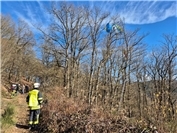 07.02.: Feuerwehr rettet Piloten aus 15 Metern Höhe
