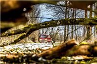 07.06.: Verkehrsunfall durch herabfallenden Ast