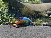 08.08.: Auf der L98 gestrandet: Delfin wartet auf Wiedersehen mit Besitzer