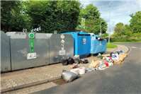 09.06.: Rattengefahr durch illegale Müllentsorgung 