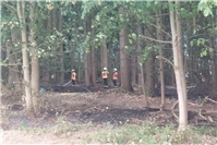 10.08.: Dramatischer Waldbrand bei Hilgert: 85.000 qm Waldfläche standen in Flammen