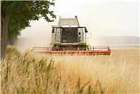 11.08.: Herschbach: Mähdrescher brennt vollständig aus 