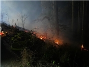 12.08.: Adenau: 700 Quatratmeter Wald an der Hohen Acht in Flammen