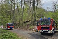 14.04.: Große Waldbrandgefahr: Feuer durch trockene Böden entfacht