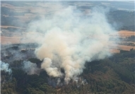 14.08.: Entspannung im Kreis MYK: Waldbrand bei Langscheid unter Kontrolle 