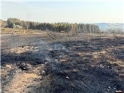 15.08.: Brandgeruch und Rauch in Teilen von MYK möglich 