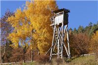 17.07-21.07.: Vandalismus im Wald