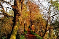 17.12.: Hafenmole in Lahnstein gesperrt