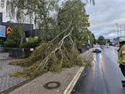 19.08.: Mayen: Zahlreiche Einsätze nach schwerem Unwetter
