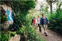 20 Jahre Rheinsteig – zwei Wanderungen, ein Ziel